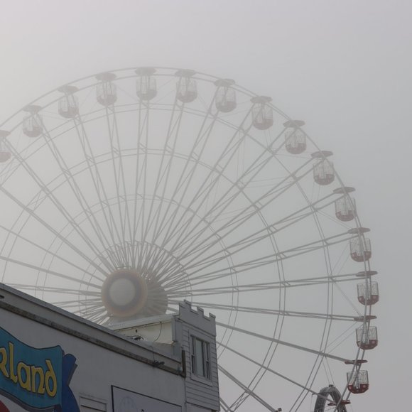 Meet your Posher, Cherice - Picture 9 of 10